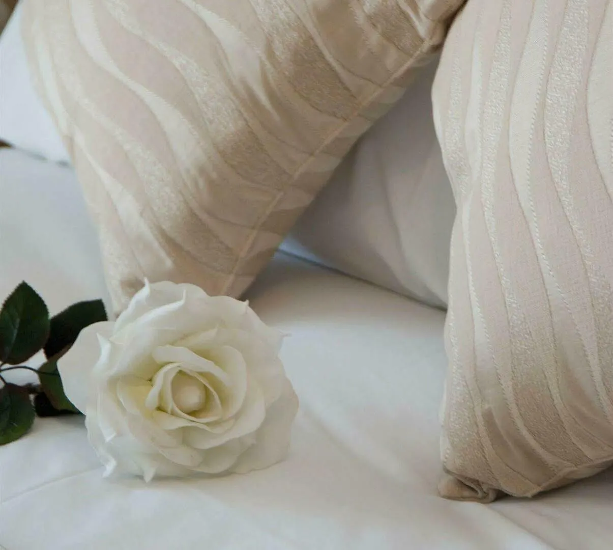 Citypoint Apartments غالواي فندق